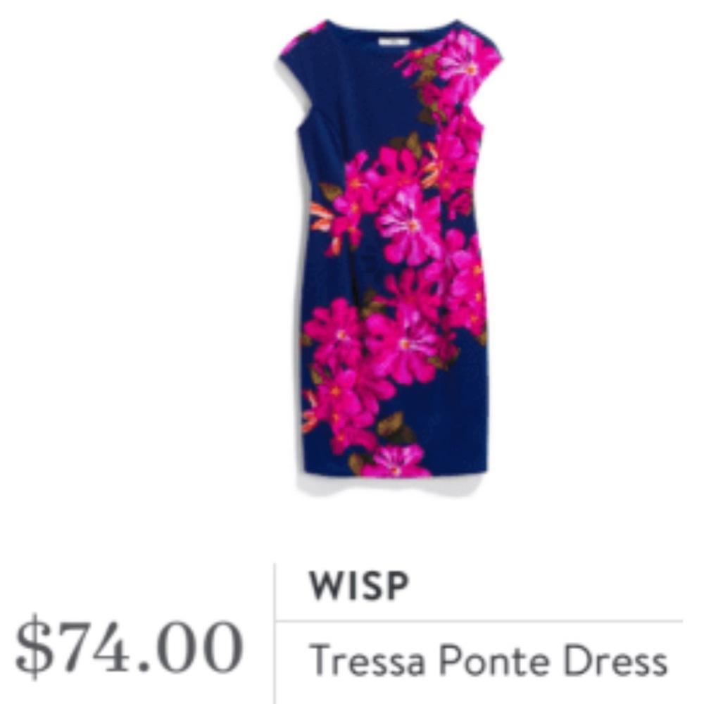Wisp dress from Stitch Fix size 12